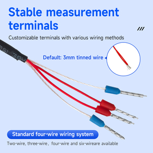 温度センサー3ワイヤー4ワイヤー<span class=keywords><strong>RTD</strong></span> PT100カスタム工業用 - Product Image 4