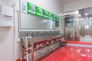 Chips de frutas liofilizadas, paquete OEM de chips de fresa, aperitivos saludables <span class=keywords><strong>chinos</strong></span> a granel - Product Image 3