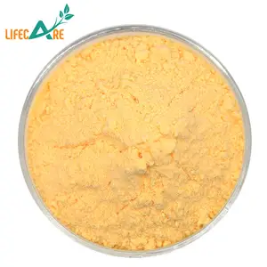 Polvere di zeina per uso alimentare con proteine di mais zeina pura al 100% di alta qualità