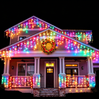 Guirlandes LED professionnelles personnalisées, prise US, étanches IP44, blanc chaud, pour décoration extérieure de Noël, de mariages et de festivals