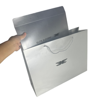 Sacs en papier argenté de luxe avec logo personnalisé, ruban et pelliculage pour parfums masculins, diffuseurs de parfum et sacs cadeaux pour événements