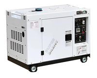 Générateur diesel super silencieux LETON 10 kW 10000 Watts AVR 12 kVA