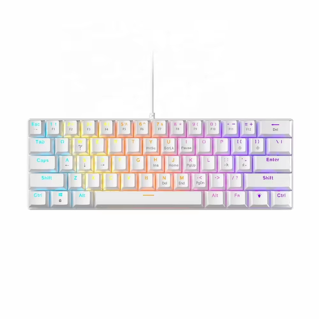 61KEYS Wired Mechanical Keyboard TYPE-C Hot-swapable RGB Computer Gaming Mechanical Keyboard