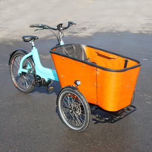 จักรยานบรรทุกสินค้าไฟฟ้า<span class=keywords><strong>3</strong></span>ล้อแบบทรงตัวเองได้ของยุโรป - Product Image 6