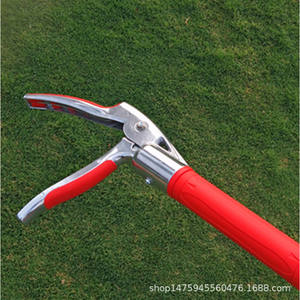 Tijeras de Podar Telescópicas Liu Sheng de Acero Inoxidable, Ajustables y Giratorias para Ramas Altas, Color Rojo, Hechas en Taiwán - Product Image 5