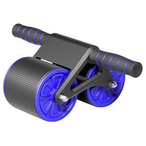 Accesorios Deportivos <span class=keywords><strong>para</strong></span> Uso Doméstico, Rueda de Entrenamiento de Fuerza, Rueda Antideslizante - Product Image 1