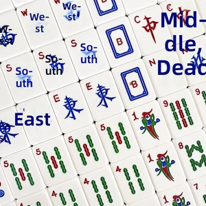 Set di Mahjong in Acrilico di Lusso Rosa, Viola, Verde e Blu con Numeri e Lettere, Fatto a Mano per Uso Domestico, Personalizzabile - Product Image 5