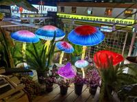 Ensemble de 4 lampes champignons lumineuses en résine translucide et fibre de verre, éclairage LED IP65 pour jardin extérieur, idéal pour aménagement paysager