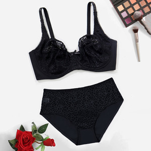 Ensemble de lingerie sexy grande taille en dentelle pour femme, soutien-gorge et culotte, vente en gros personnalisée pour dropshipping 2026 - Product Image 6