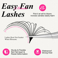 Abonnie Lashes Vente en gros Easy Fan Plateaux d'extension de cils Cachemire noir mat Easy Fan Extensions de cils Soft Easy Fan Lashes 003