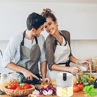 Hachoir Électrique à Ail Portable Mini 250 Ml Blanc pour Légumes, Piments, Fruits avec Recharge USB – Vente en Gros d'Ustensiles de Cuisine