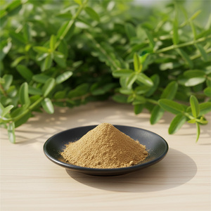 시서스 쿼드란귤라리스 분말 10:1 시서스 쿼드란귤라리스 추출물 도매 - Product Image 5