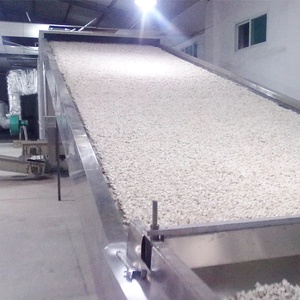 Séchoir à bande maillée automatique pour piments rouges séchés, capacité de 1 à 50 tonnes, pour piments rouges et poivrons <span class=keywords><strong>alligator</strong></span> - Product Image 2