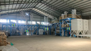 Machine de nettoyage complète pour grains de café Robusta vert, pour grains de café naturels ou lavés - Product Image 2