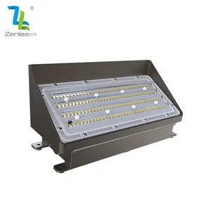 中国工厂制造户外照明Ip65防水AC100-380V 100w Led壁灯