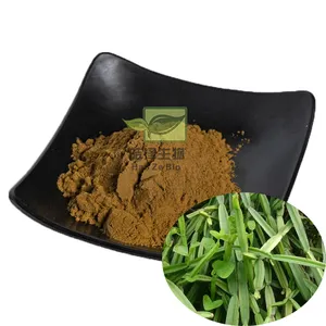 Gezondheidszorg Supplement Cissus Quadrangularis Extract Cissus Quadrangularis Poeder