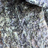 Vente en gros de pierre de cristal naturelle Kambaba de Madagascar de haute qualité pierre brute avec pierre Kambaba brute de style Feng Shui