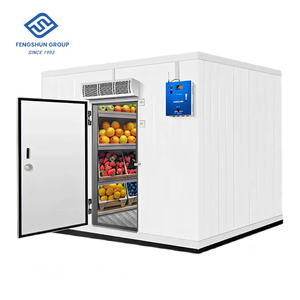 Cámara Frigorífica de Gran Tamaño para Logística, <span class=keywords><strong>20m2</strong></span>, 50m2, 100m2, Almacenamiento Refrigerado de Pescado/Carne Fresca/Res - Product Image 6