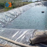 Membrane géotextile HDPE/EVA pour la protection de l'environnement - Anti-infiltration, non toxique, forte stabilité chimique pour bassin, barrage, étang à poissons