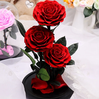 Rose éternelle préservée sous cloche en verre - Longue durée (3-5 ans) - Cadeau idéal pour la remise des diplômes, la Saint-Valentin, la fête des Mères, les anniversaires de mariage