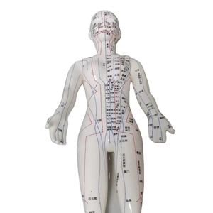 Enseignement médical acupoint <span class=keywords><strong>Acupuncture</strong></span> Femelle Humain Femmes Modèle Image PVC Matériel Maniking enseignement outil d'<span class=keywords><strong>acupuncture</strong></span> - Product Image 1