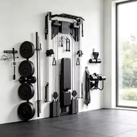 Appareil d'entraînement fonctionnel mural pliable avec blocs de poids intégrés, rack à squats pliable et système de poulies à double câble croisé