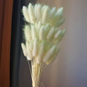 Haute Qualité Artificielle Tournesol Lapin Herbe Séché Queues De Lapin <span class=keywords><strong>Lagurus</strong></span> Pampas Fleurs Décoration Murale pour Noël Pâques Chinois - Product Image 5