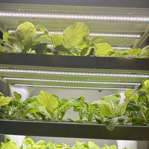 Sistema de Cultivo Hidropónico para Interiores, Jardinera Inteligente para el Hogar con Luces para Cultivar Vegetales - Product Image 4