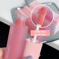 Cappuvini rose glaçure à lèvres miroir amour coeur conception eau lumière verre Transparent minéral brillant à lèvres hydratant beauté liquide