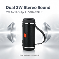 Haut-parleur radio FM mini portable sans fil double 3W stéréo Boombox rechargeable pour extérieur avec entrées AUX TF USB Audio