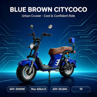 Trottinette électrique 2000W, batterie LFP 60V 20.8Ah, grandes roues, pneus larges, avec BMS intelligent et frein hydraulique pour l'UE et les États-Unis