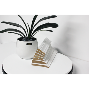 Cornice per Porta in Legno Bianco dal Design Moderno, Telaio Verniciato Bianco per Decorazioni Interne ed Esterne - Product Image 2