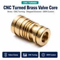 LAIDNUO – Nouveau noyau de valve en laiton CNC sur mesure, bobine cylindrique rainurée tournée, contrôle de débit de précision pour équipement OEM