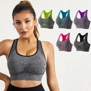 Yoga Wear Gym Workout Wire Free Top Running Crop Tops Workout Sujetador deportivo acolchado