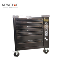 Newstar Armoire à outils mobile professionnelle OEM à 6 tiroirs en métal avec poignée et roulettes, chariot à outils d'atelier pour un déplacement facile