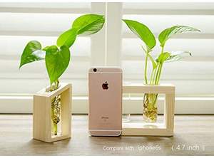 Vaso di vetro <span class=keywords><strong>per</strong></span> ufficio e giardino <span class=keywords><strong>per</strong></span> uso decorativo - Product Image 4