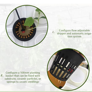 Système complet de culture hydroponique de tomates en seau hollandais avec pompe, irrigation aquaponique, longue durée de vie - Product Image 2