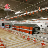 Equipo Automático para Línea de Alimentación de Aves de Corral, Sistema de Alimentación de Pollos con Transportador