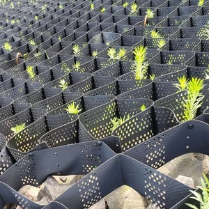 สีดำ/เขียว HDPE Geocell ตารางการเสริมแรงพื้นดินสำหรับถนนลาดทางเข้าที่จอดรถและการรองรับภาระหนัก - Product Image 3