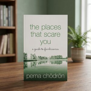 Les endroits qui vous effrayent de Pema Chodron, livre anglais en édition brochée, livre sur la croissance personnelle, la méditation et la découverte de soi - Product Image 2