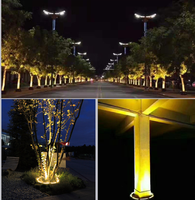 Projecteur LED DC24V 12W IP65 RGB pour arbre, éclairage extérieur de jardin, lampe annulaire pour palmier, lampe pour pilier romain