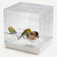 Mangeoire portable XL en acier inoxydable pour oiseaux, distributeur de nourriture pour perruches, cockatoeils, conures, coupelle pour ménagères, abreuvoir