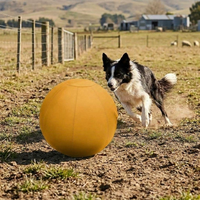 Jouet pour animaux de compagnie, grande balle durable, gonflable, douce, balle de yoga personnalisée avec intérieur de 25" 27" pour les jeux interactifs amusants en plein air pour chiens