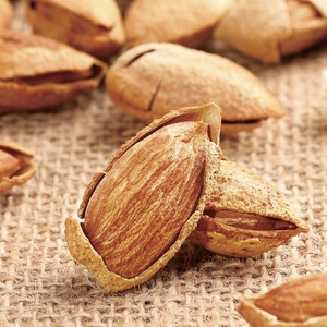 Núcleos de Albaricoque de Primera Calidad, Frutos Secos Baratos, Almendras - Product Image 1