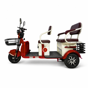 Véhicule Tricycle Électrique Neuf 48V 60V à Trois Roues avec Moteur Différentiel 650W et Jantes en Aluminium pour l'Exportation en Gros - Product Image 2