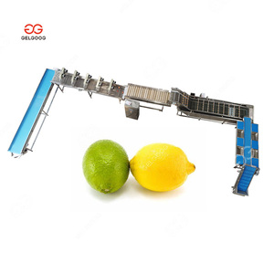 Muschel muschel Reinigung Meeres früchte Meeres schnecke Waschen Meeres früchte Waschmaschine Preis - Product Image 6