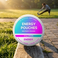 Sachets Énergisants en Gros : Formule Caféine, L-Théanine et Électrolytes pour Adultes Actifs