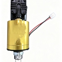 Compresseur de verrouillage automatique pneumatique X098TK-12V ARB Air Locker pour différentiel Volkswagen Golf Rabbit Caribe, réservoir 1 gallon