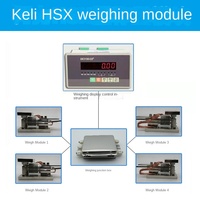 Módulo de pesaje Keli HSX, báscula de tolva electrónica, máquina de llenado, sensor de báscula de correa, actuador neumático de 0,1 precisión, salida analógica