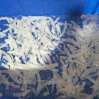 Kokosvlokkenmachine Kokoschips Snijmachine Verse Kokosnoot Snijmachines